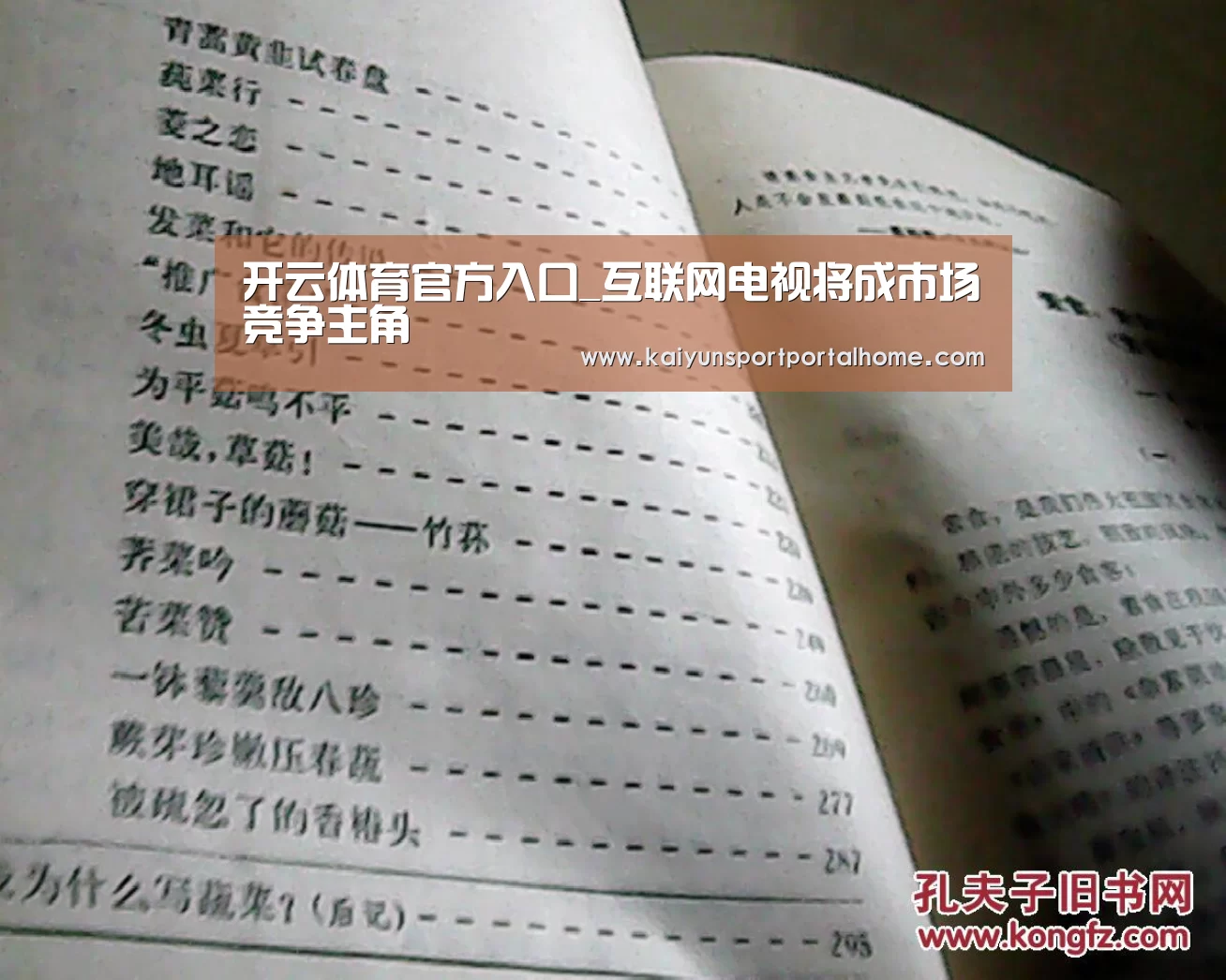 开云体育首页