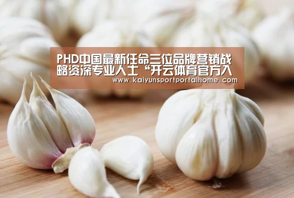 开云体育官方入口