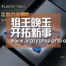 狙王晚玉开拓新事业 立志要做和平精英“肯德基”‘开云体育’(图1) 开云体育首页